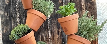 Workshop "Kr&auml;uterduft" vom Samstag, 21. M&auml;rz 2026 09.00 - 11.30 Uhr Uhr