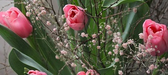 Aktuelles Februar 2026: 30% Rabatt auf alle Tulpenzwiebelstr&auml;usse