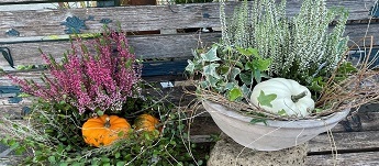 Workshop Herbstzeit vom Samstag, 18. Oktober 2025. 09.00 - 11.30 Uhr